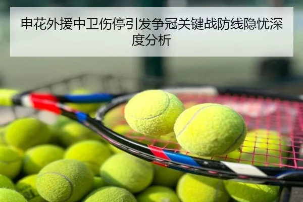 申花外援中卫伤停引发争冠关键战防线隐忧深度分析